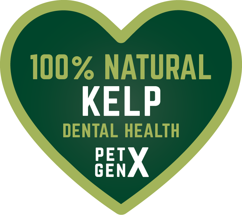 100% NATURAL KELP For Pets DENTAL HEALTH_1 100% NATURAL KELP For Pets DENTAL HEALTH_1