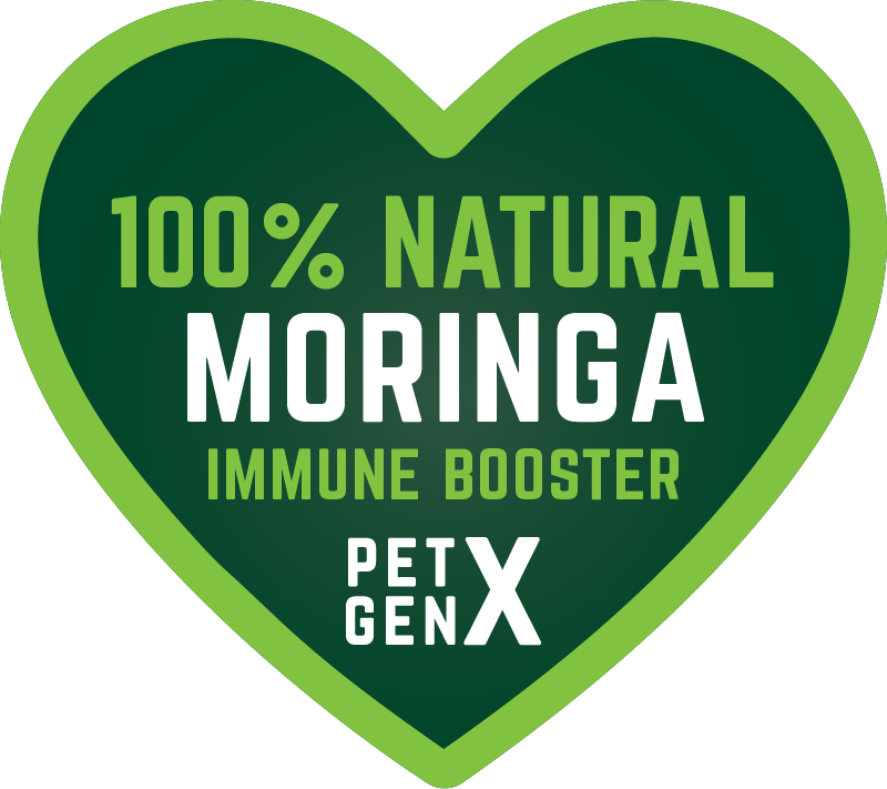 PetGENX 100% Natural Moringa Immune Booster For Pets PetGENX 100% Natural Moringa Immune Booster For Pets
