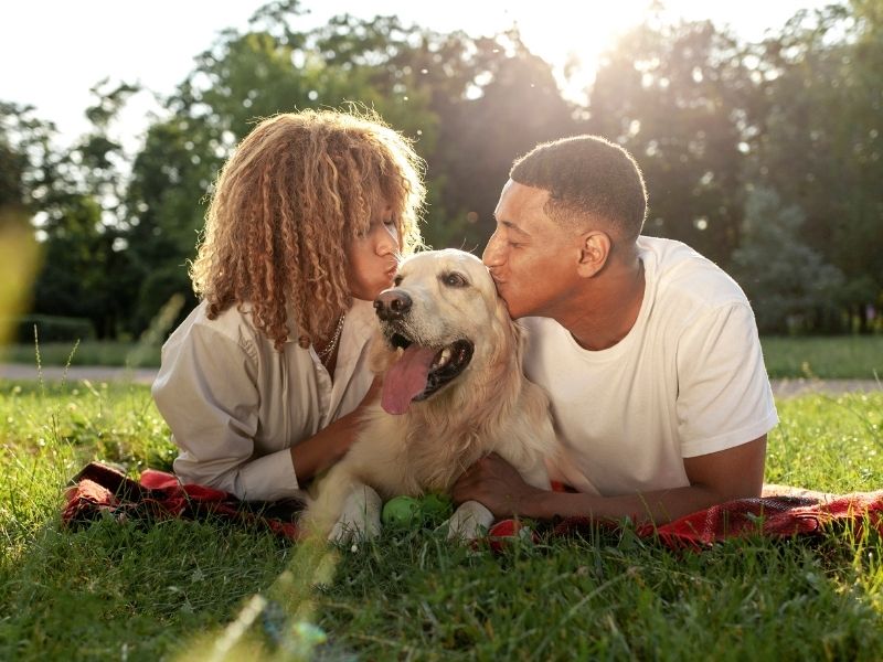 PetGENX website Images (5)
